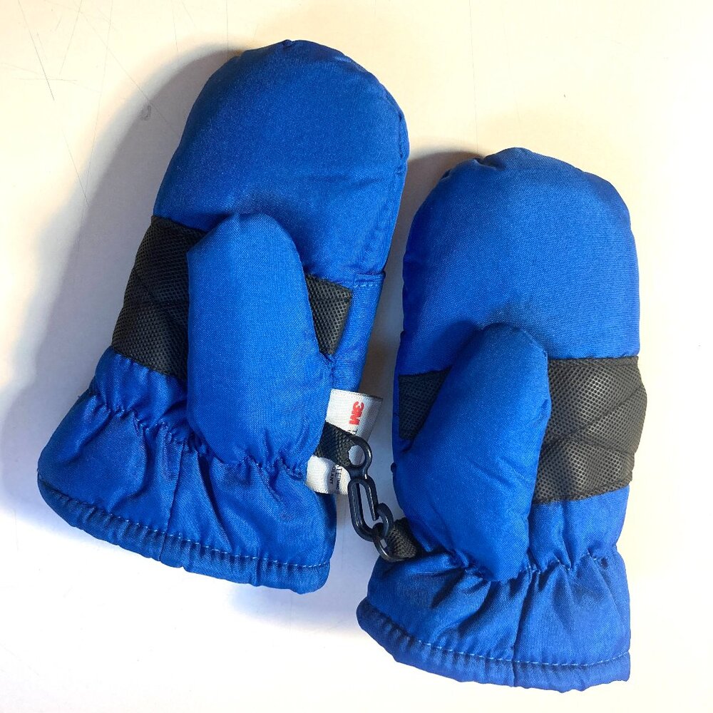 Blue Thinsulate Mittens